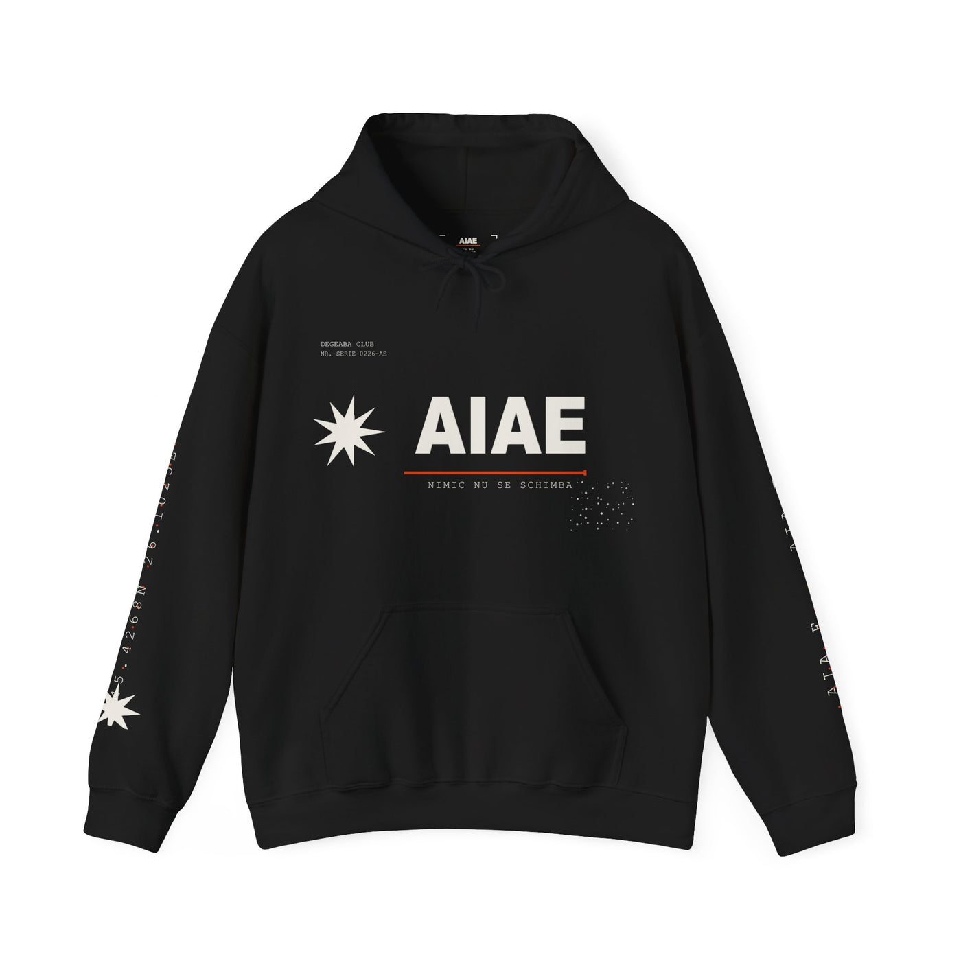 AIAE 01 — Hoodie Fractured Starburst
