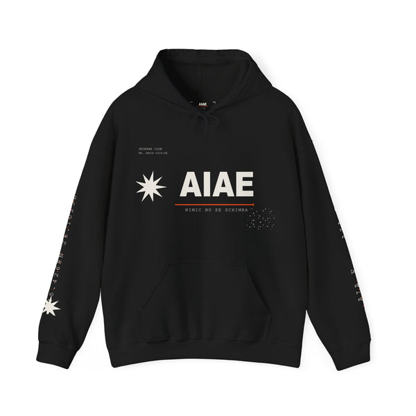AIAE 01 — Hoodie Fractured Starburst