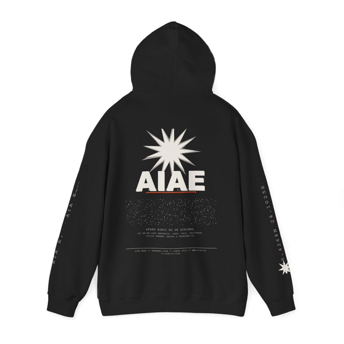 AIAE 01 — Hoodie Fractured Starburst