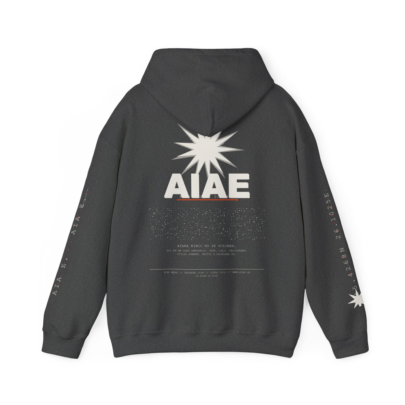 AIAE 01 — Hoodie Fractured Starburst