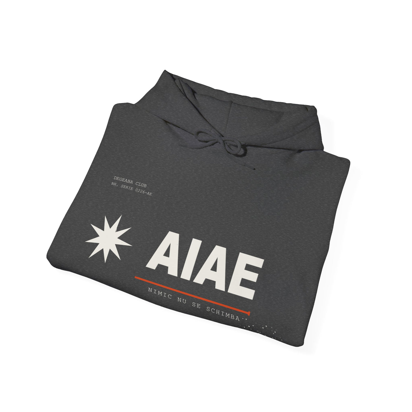 AIAE 01 — Hoodie Fractured Starburst