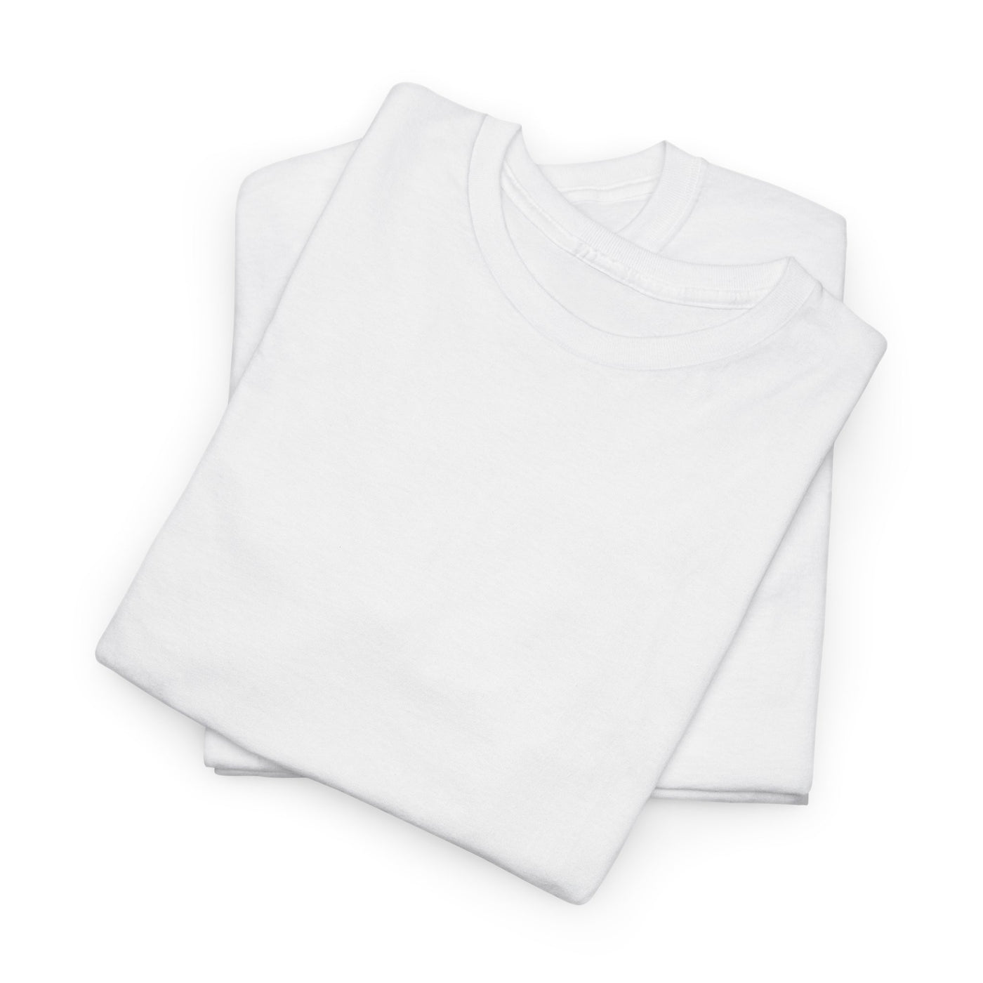 AIAE 01 — T-Shirt Ale E. Resume