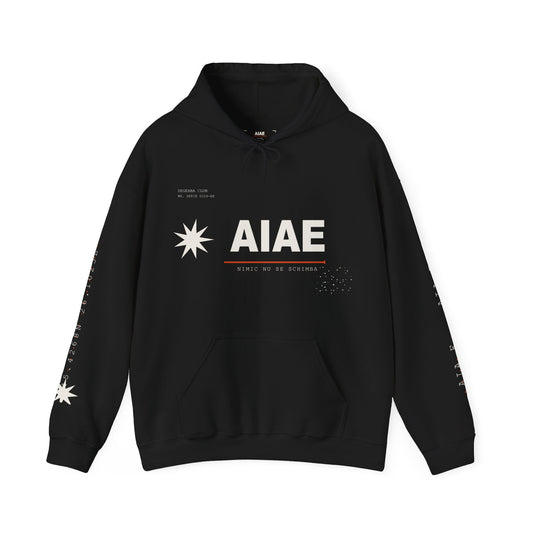 AIAE 01 — Hoodie Fractured Starburst