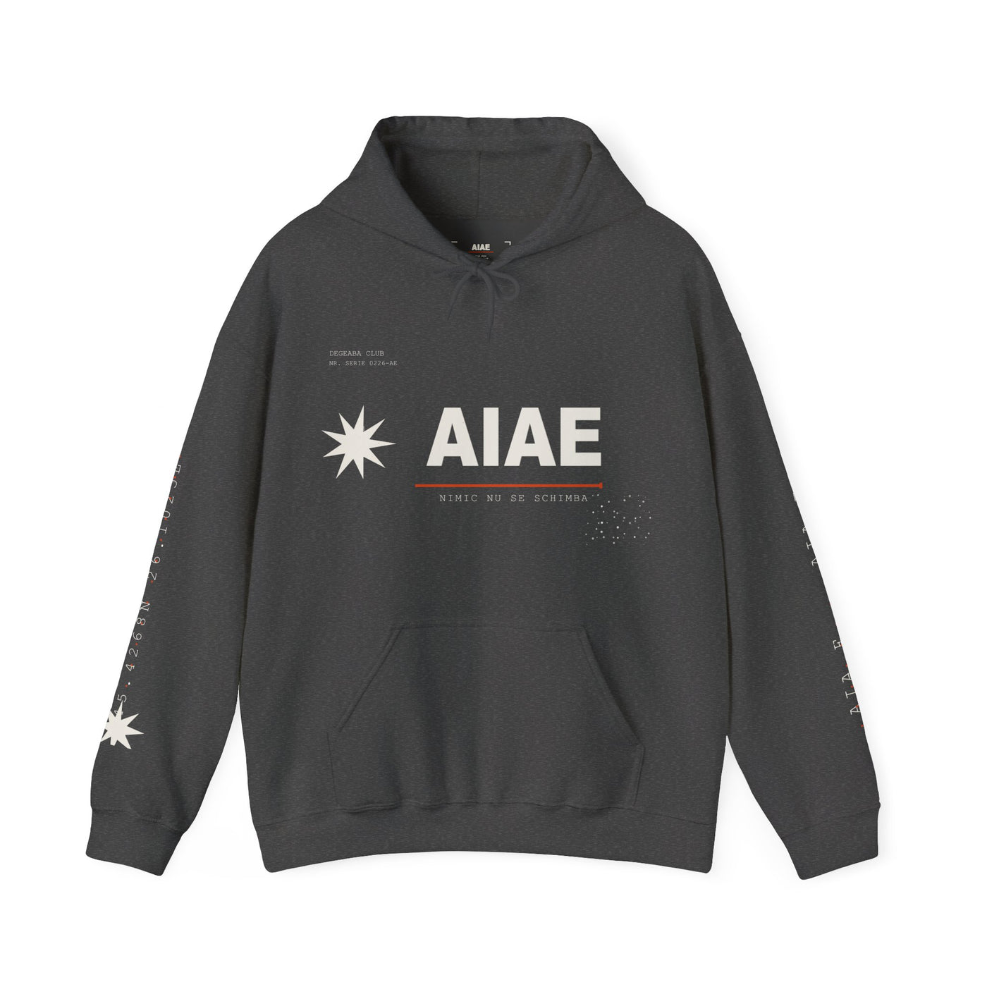AIAE 01 — Hoodie Fractured Starburst