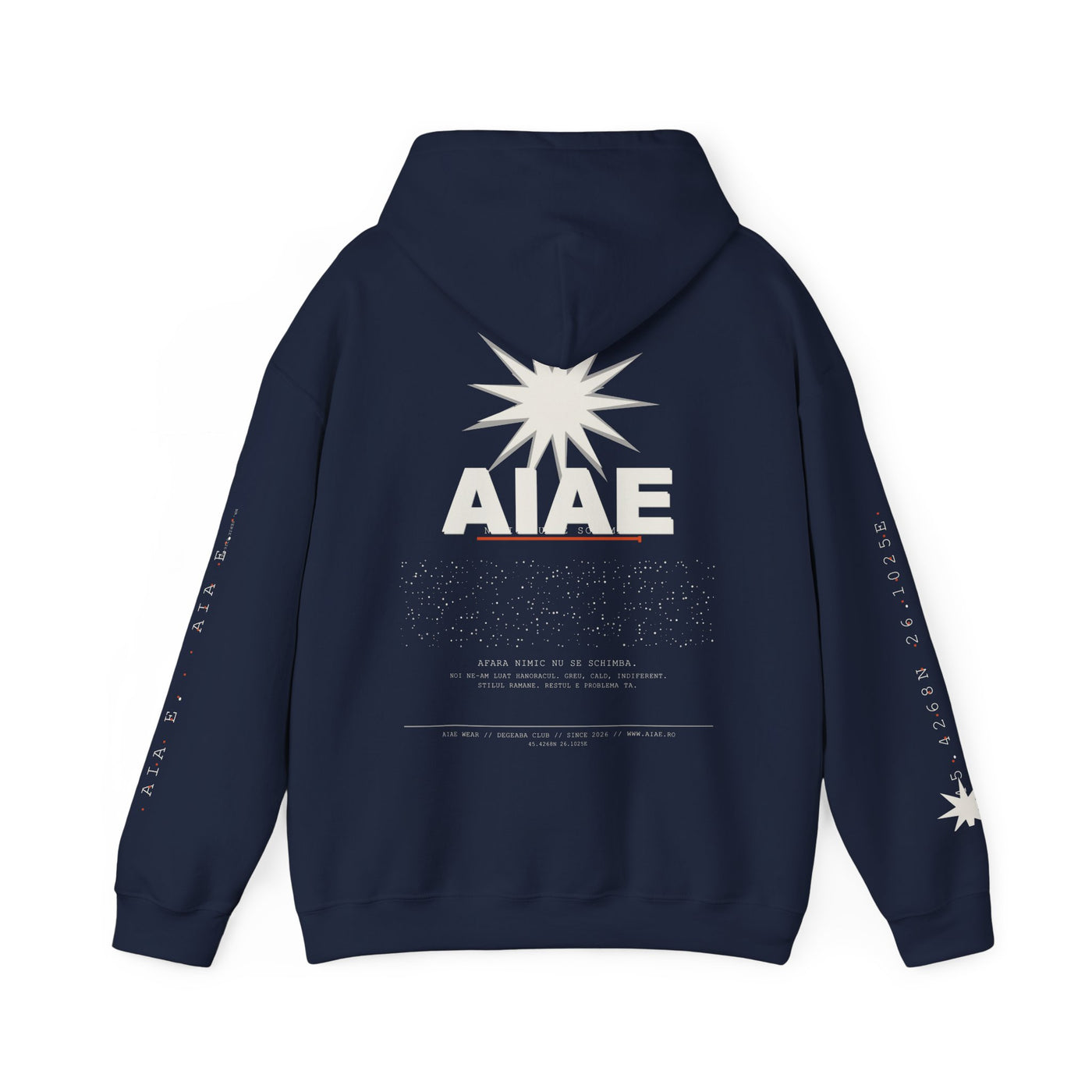 AIAE 01 — Hoodie Fractured Starburst