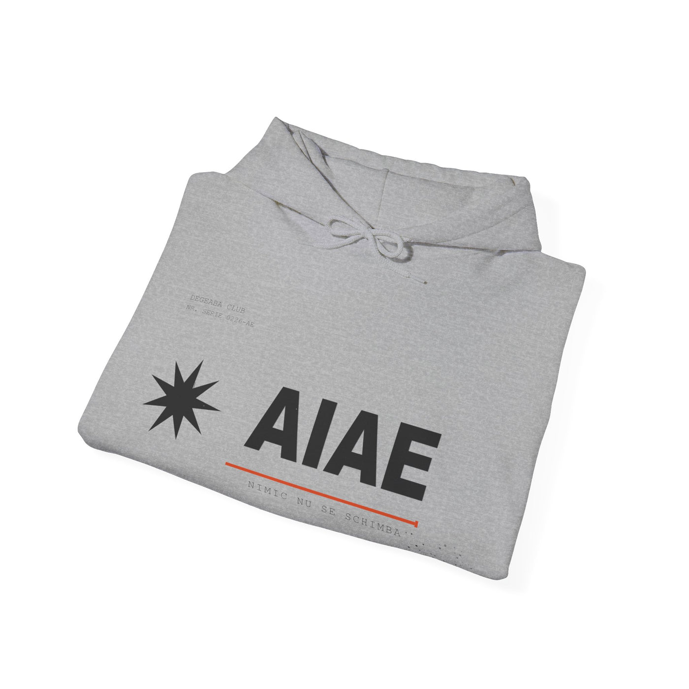 AIAE 01 — Hoodie Fractured Starburst