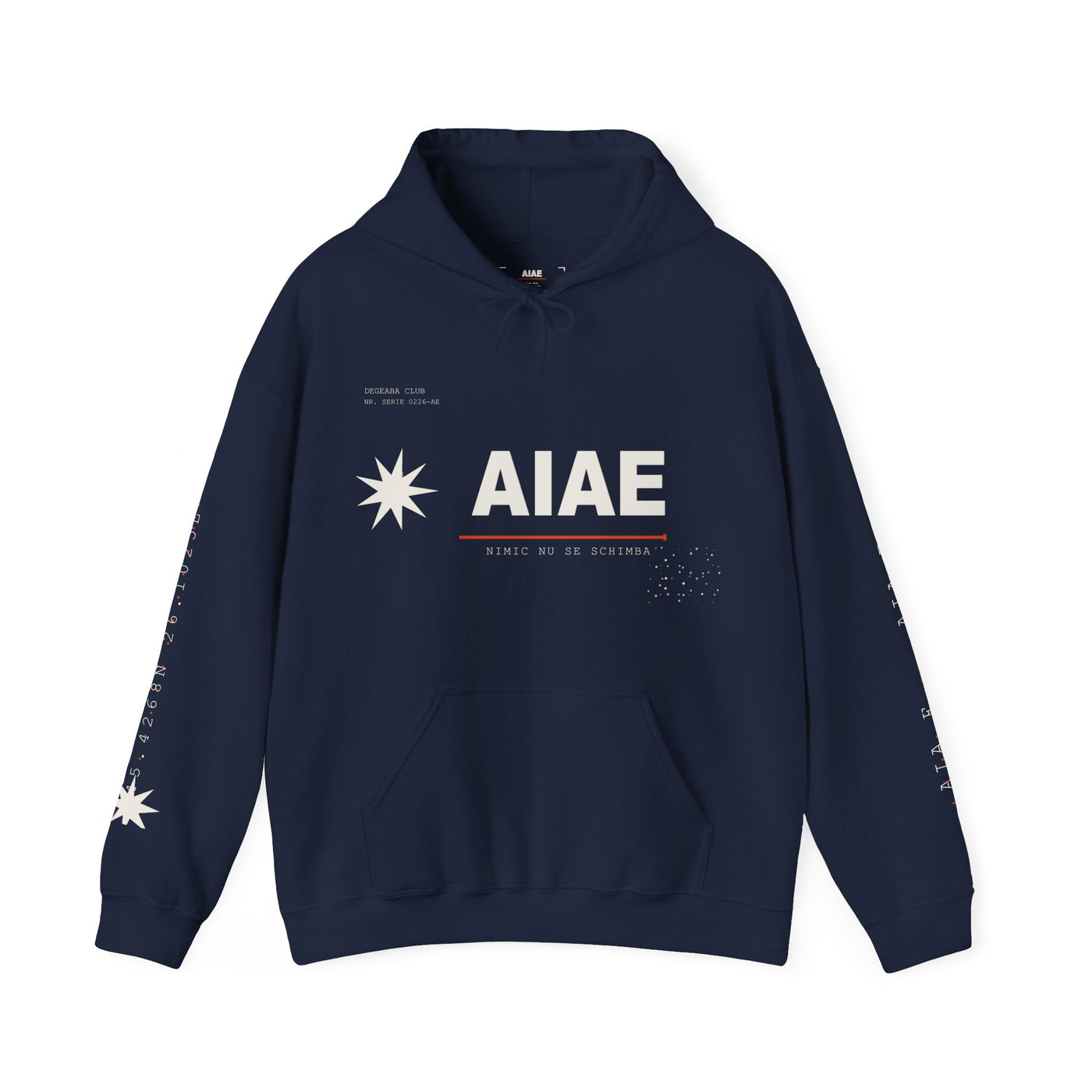 AIAE 01 — Hoodie Fractured Starburst