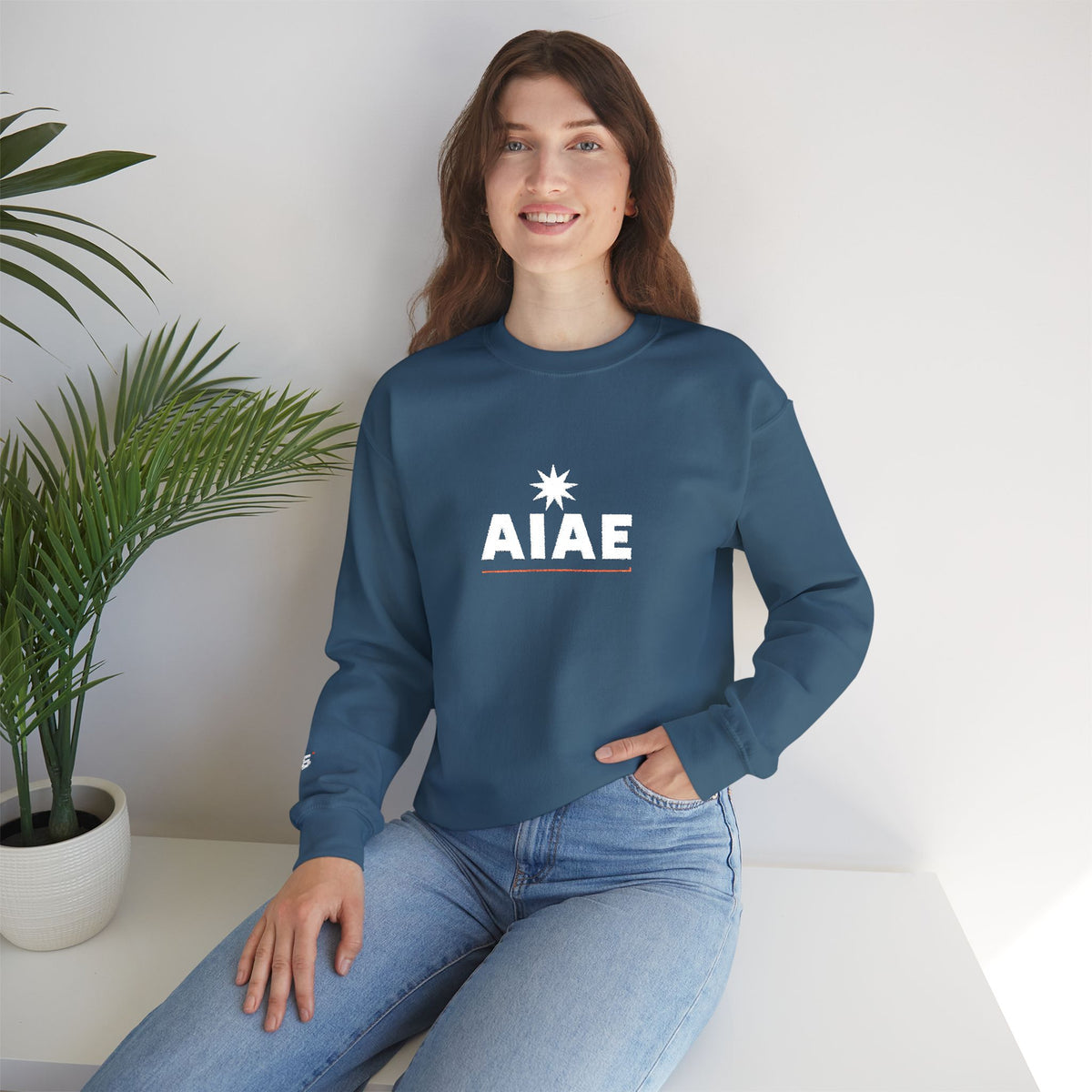 Bluză crewneck brodată AIAE — wordmark cu linie roșie