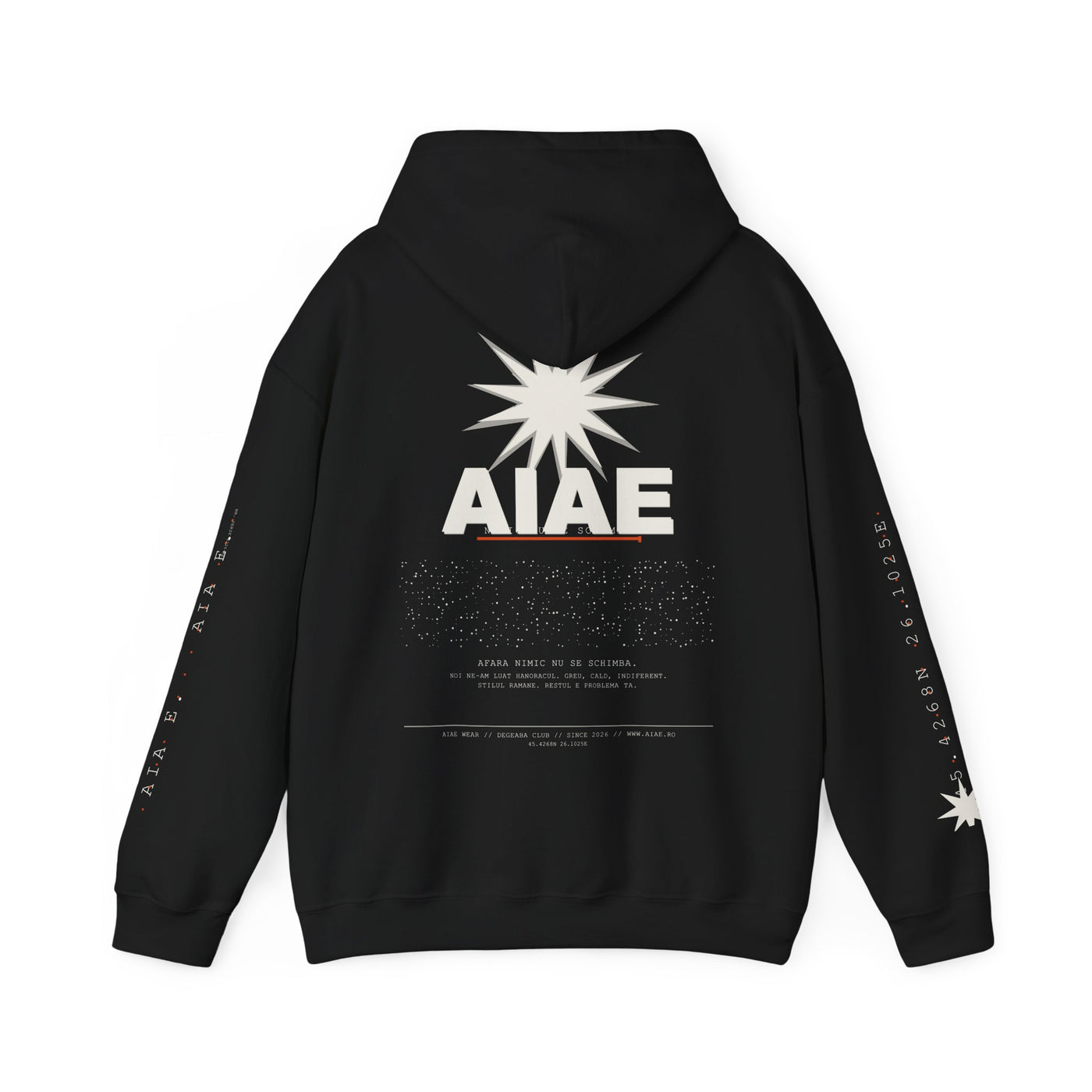 AIAE 01 — Hoodie Fractured Starburst
