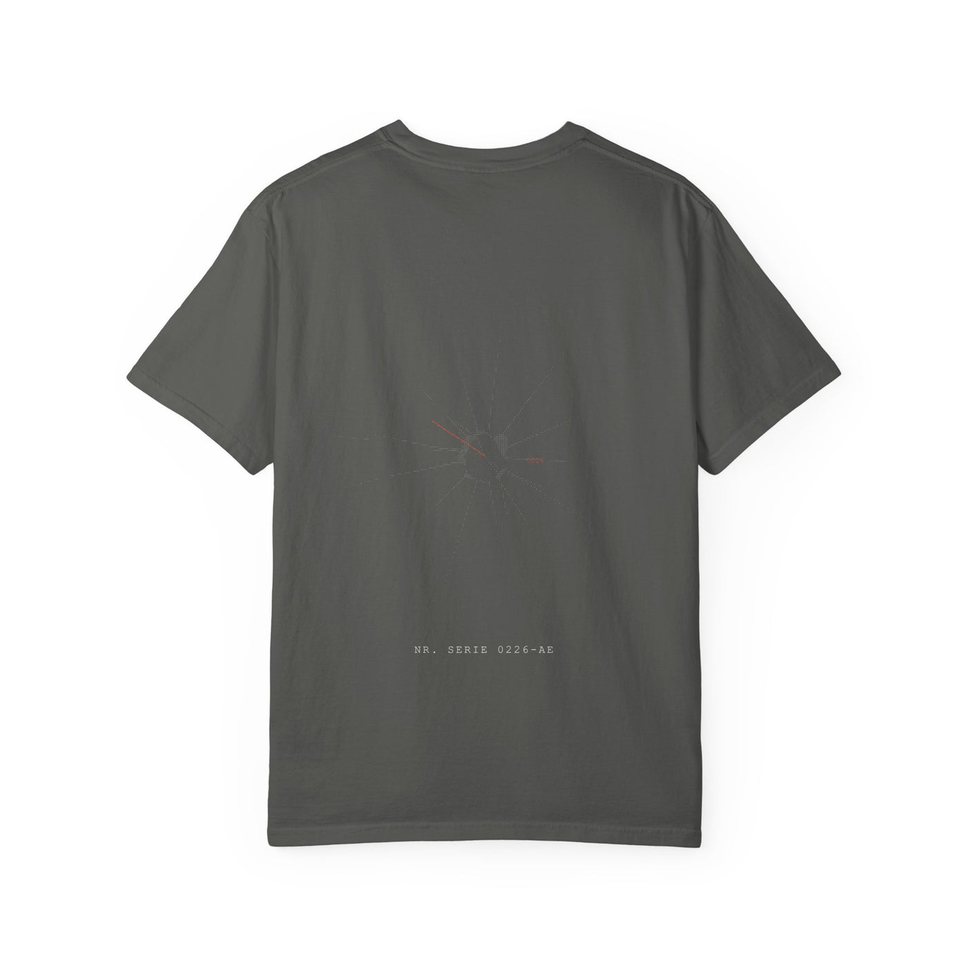 AIAE 01 — Back Print T-Shirt AIA E.