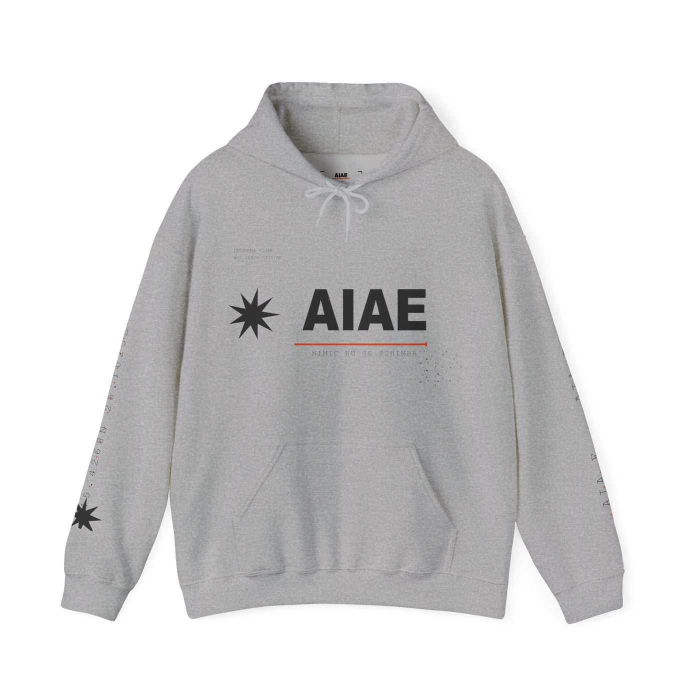 AIAE 01 — Hoodie Fractured Starburst