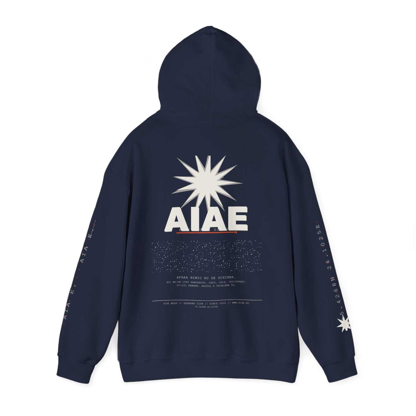AIAE 01 — Hoodie Fractured Starburst