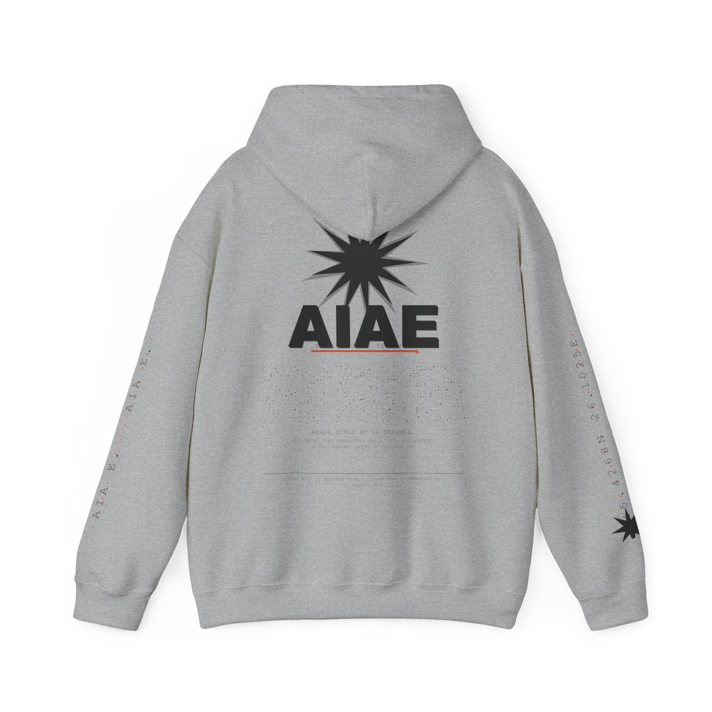 AIAE 01 — Hoodie Fractured Starburst