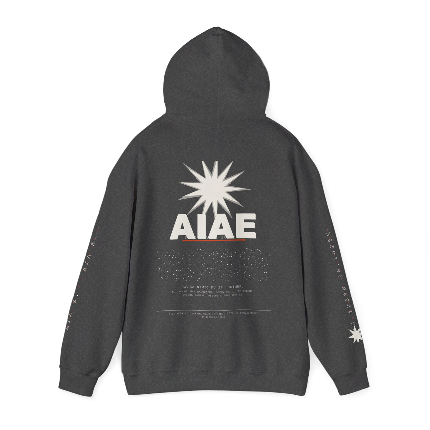 AIAE 01 — Hoodie Fractured Starburst