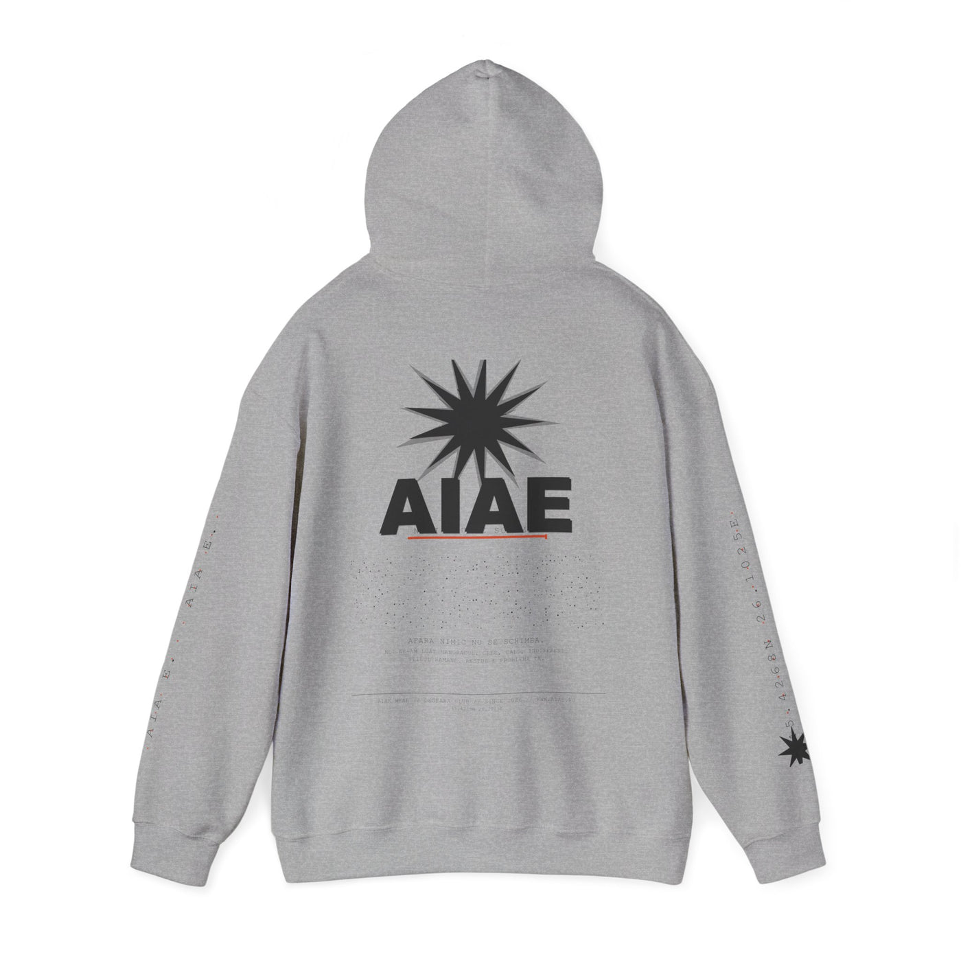AIAE 01 — Hoodie Fractured Starburst